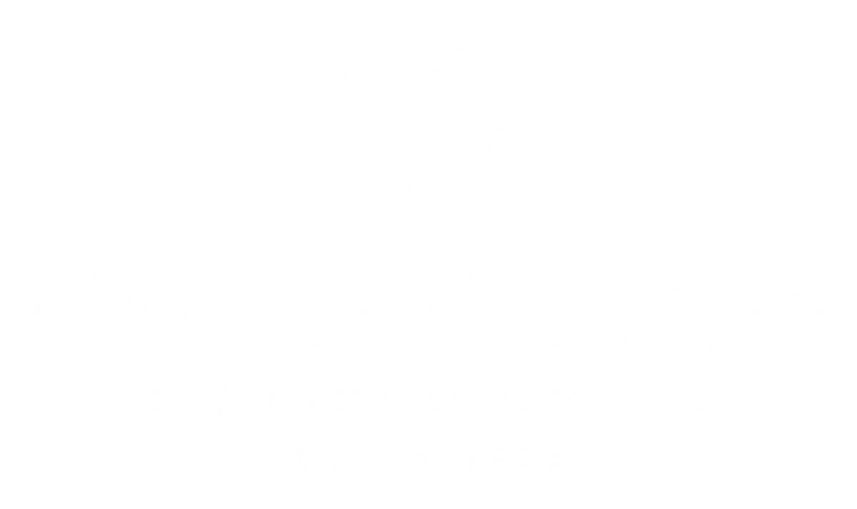 Texto alternativo da imagem